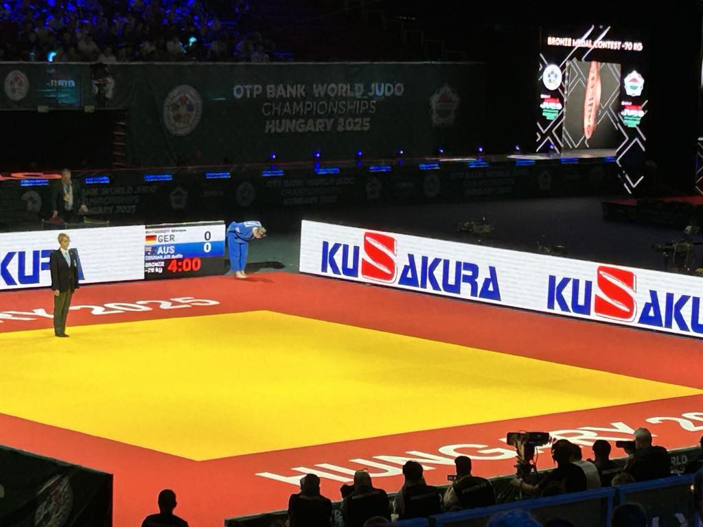 Judo mats - Tatami